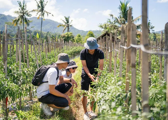 Devani Sidemen (Bali)