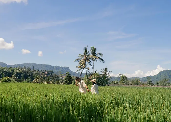 Hotel Devani Sidemen (Bali)