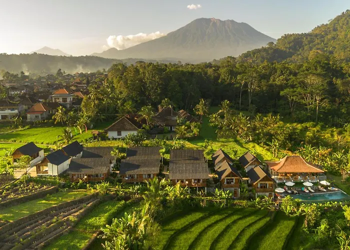 Devani Hotel 4*